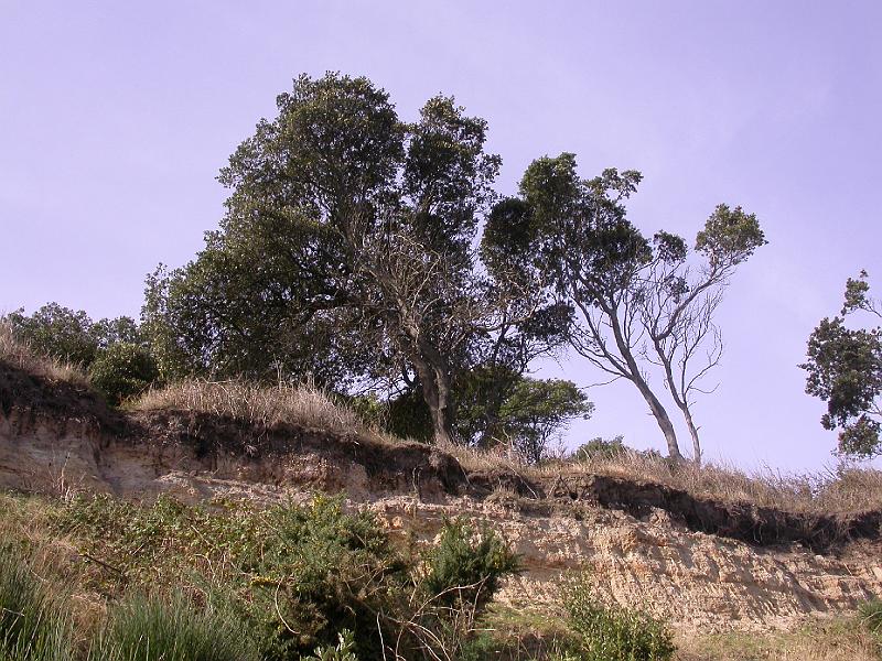 Dunwich - DSCN7756.JPG